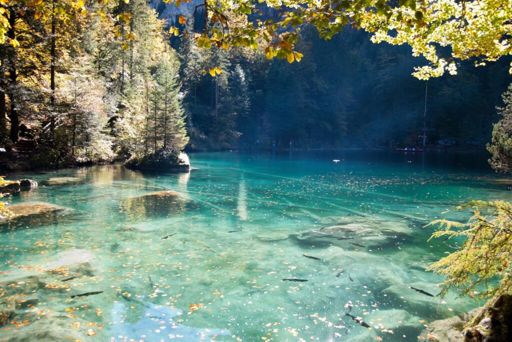 Blausee en otoño